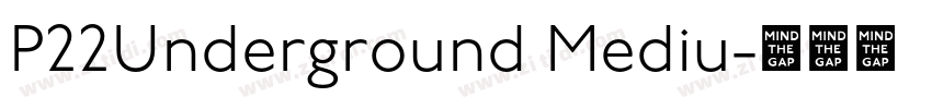P22Underground Mediu字体转换